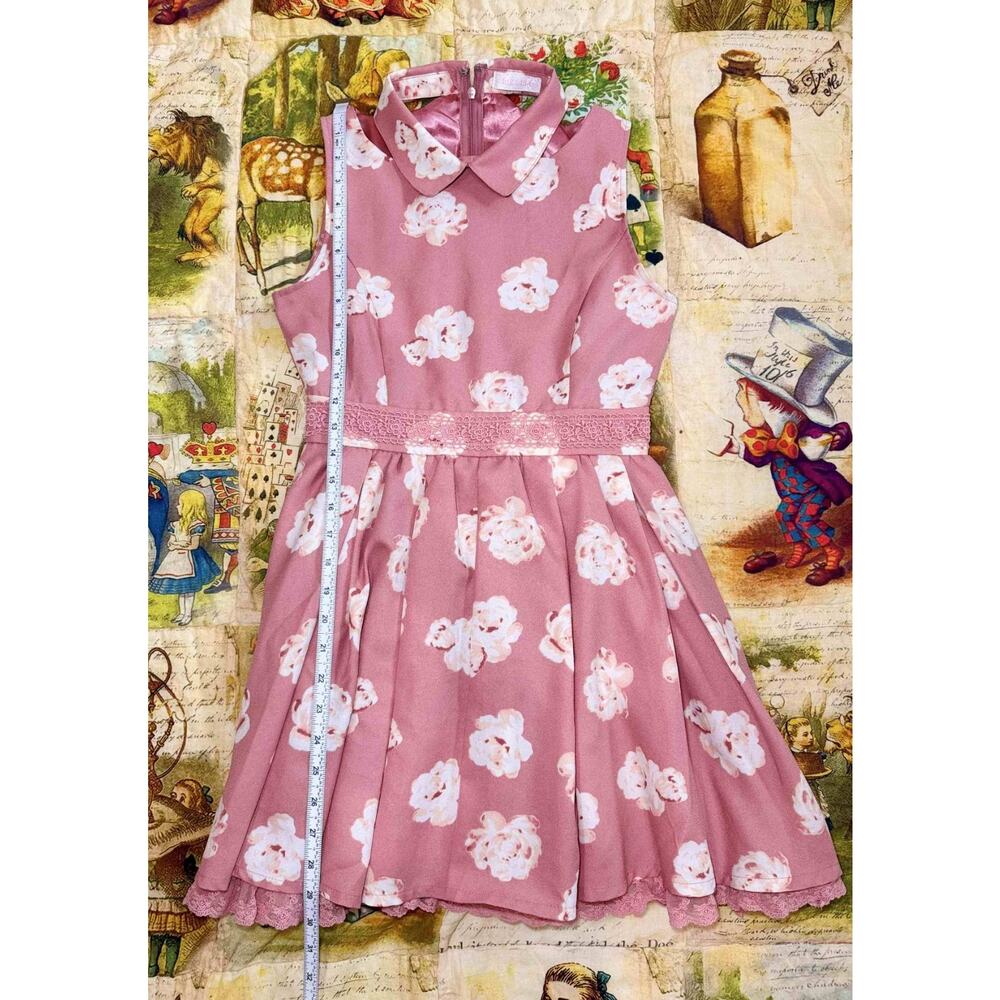 Liz Lisa Collared Floral Pink Dress Jfashion Gyaru Himekaji Coquette Autumn 2013 - Picture 9 of 16